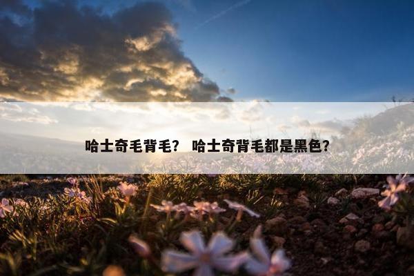 哈士奇毛背毛？ 哈士奇背毛都是黑色？