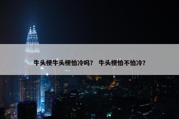 牛头梗牛头梗怕冷吗？ 牛头梗怕不怕冷？