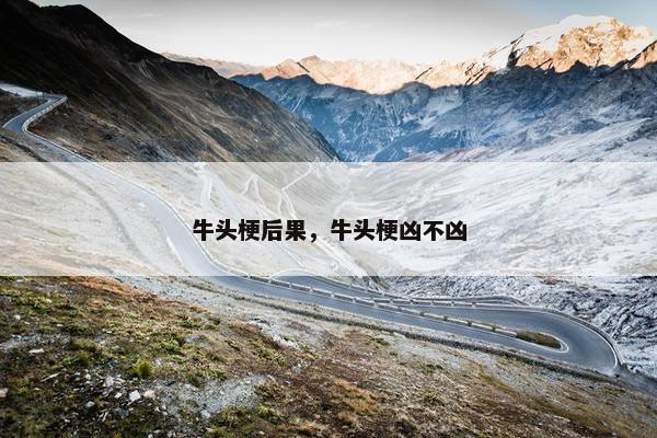 牛头梗后果，牛头梗凶不凶