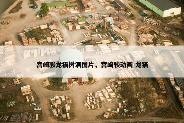 宫崎骏龙猫树洞图片，宫崎骏动画 龙猫