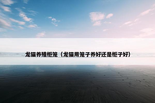 龙猫养殖柜笼（龙猫用笼子养好还是柜子好）