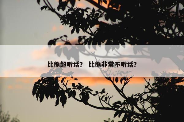 比熊超听话？ 比熊非常不听话？