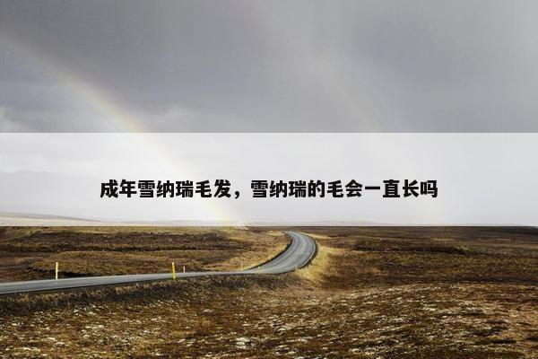 成年雪纳瑞毛发，雪纳瑞的毛会一直长吗