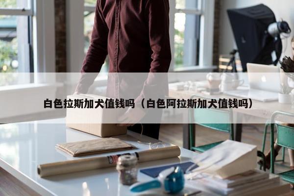 白色拉斯加犬值钱吗（白色阿拉斯加犬值钱吗）
