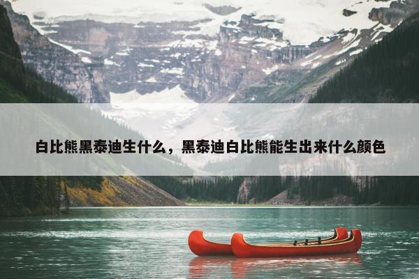 白比熊黑泰迪生什么，黑泰迪白比熊能生出来什么颜色