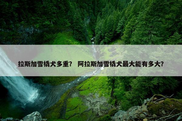 拉斯加雪橇犬多重？ 阿拉斯加雪橇犬最大能有多大？