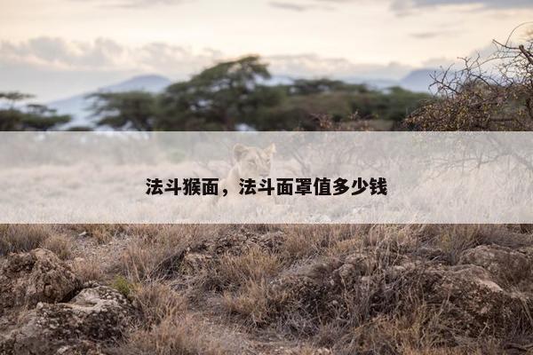 法斗猴面，法斗面罩值多少钱