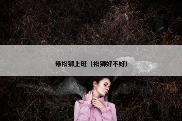带松狮上班（松狮好不好）