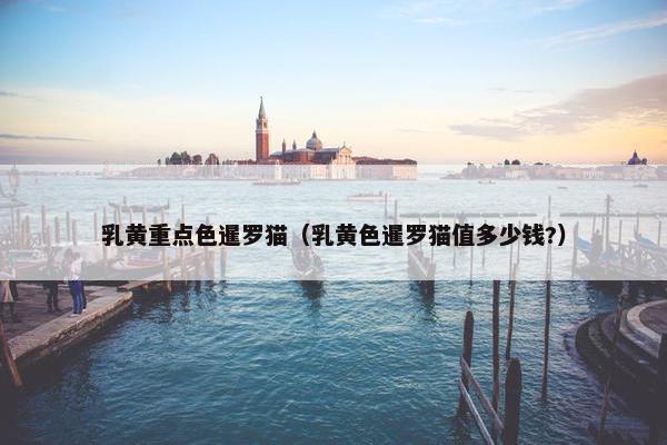 乳黄重点色暹罗猫（乳黄色暹罗猫值多少钱?）