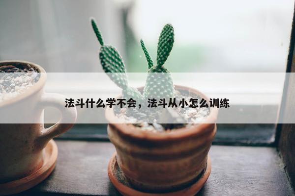 法斗什么学不会，法斗从小怎么训练