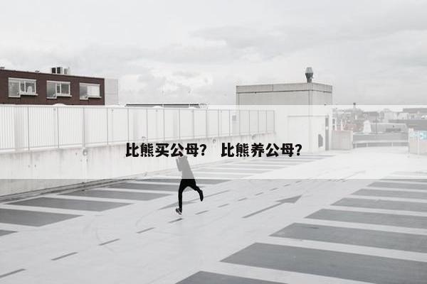 比熊买公母？ 比熊养公母？