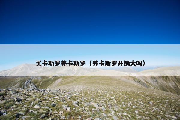 买卡斯罗养卡斯罗（养卡斯罗开销大吗）