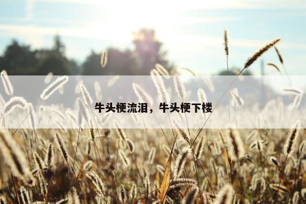 牛头梗流泪，牛头梗下楼