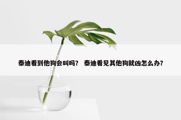 泰迪看到他狗会叫吗？ 泰迪看见其他狗就凶怎么办？