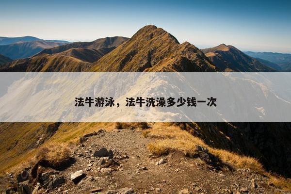 法牛游泳，法牛洗澡多少钱一次