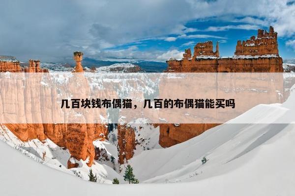 几百块钱布偶猫，几百的布偶猫能买吗