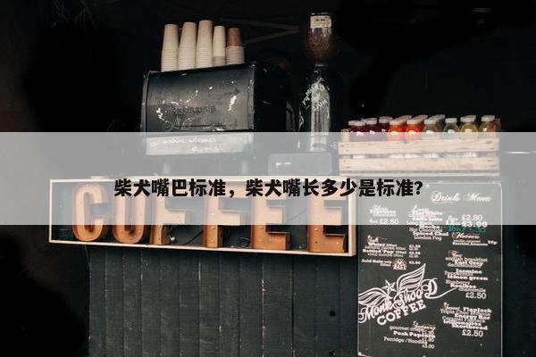 柴犬嘴巴标准，柴犬嘴长多少是标准?
