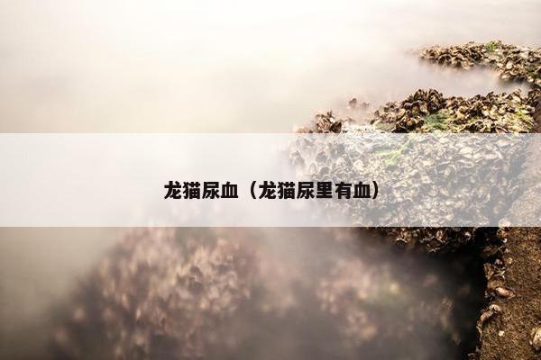 龙猫尿血（龙猫尿里有血）