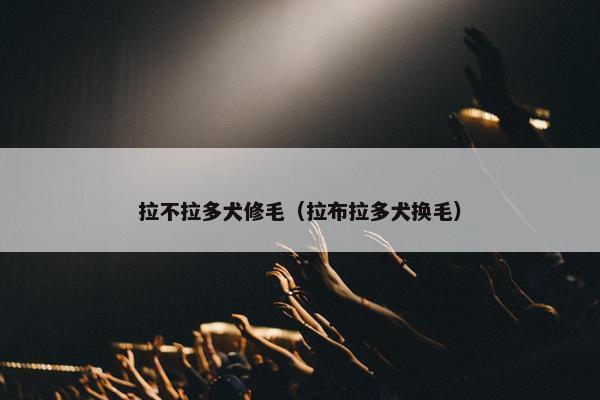 拉不拉多犬修毛（拉布拉多犬换毛）
