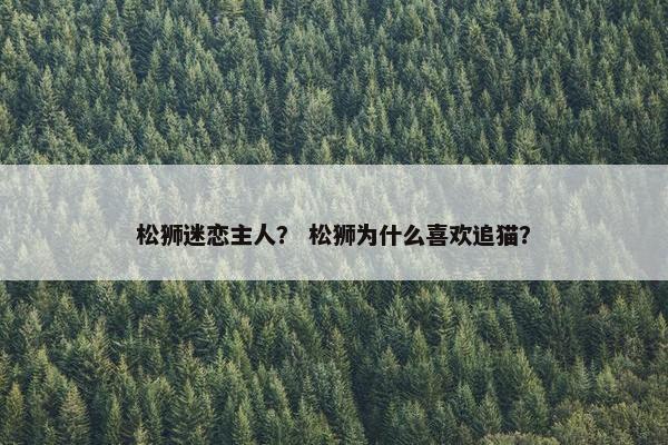 松狮迷恋主人？ 松狮为什么喜欢追猫？