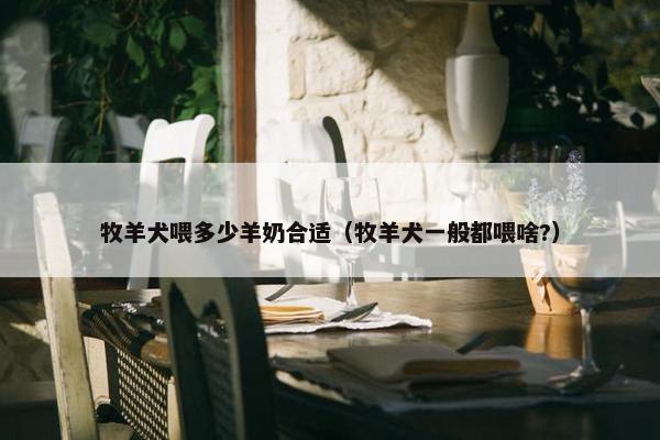 牧羊犬喂多少羊奶合适（牧羊犬一般都喂啥?）
