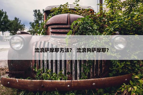 流浪萨摩耶方法？ 流浪狗萨摩耶？