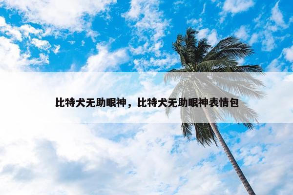比特犬无助眼神，比特犬无助眼神表情包