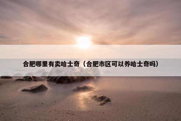 合肥哪里有卖哈士奇（合肥市区可以养哈士奇吗）