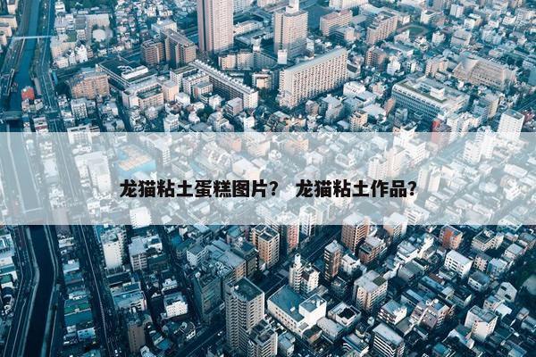 龙猫粘土蛋糕图片？ 龙猫粘土作品？