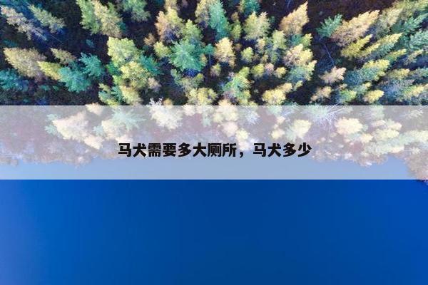 2025年6月9日