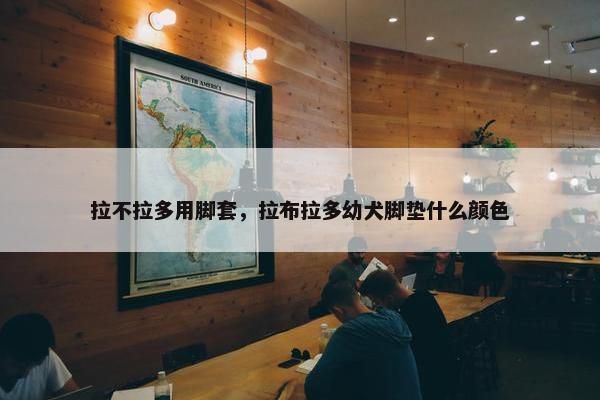 拉不拉多用脚套，拉布拉多幼犬脚垫什么颜色