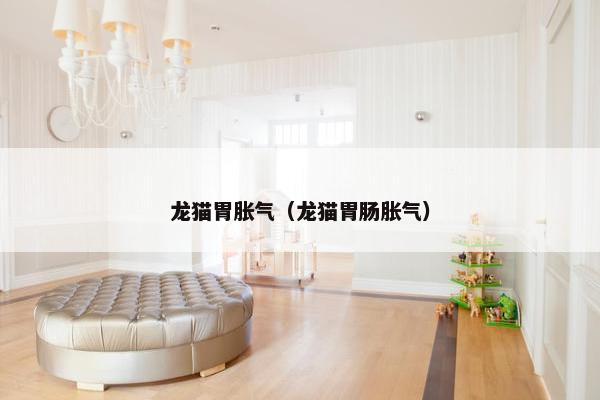 龙猫胃胀气（龙猫胃肠胀气）