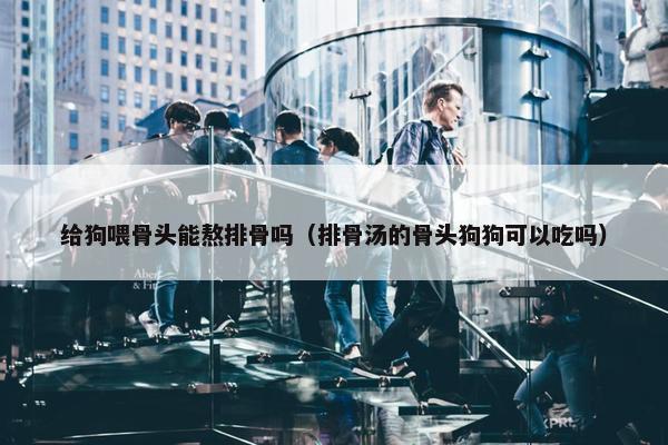 给狗喂骨头能熬排骨吗（排骨汤的骨头狗狗可以吃吗）