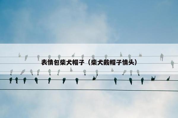 表情包柴犬帽子（柴犬戴帽子情头）
