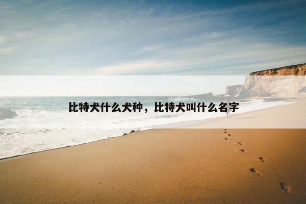 比特犬什么犬种，比特犬叫什么名字