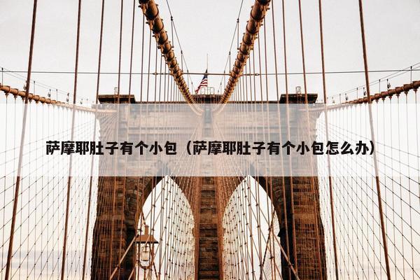 萨摩耶肚子有个小包（萨摩耶肚子有个小包怎么办）