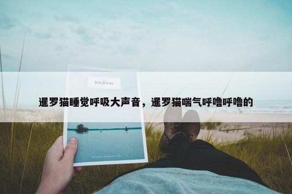 暹罗猫睡觉呼吸大声音，暹罗猫喘气呼噜呼噜的