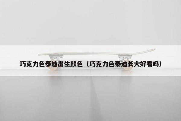 巧克力色泰迪出生颜色（巧克力色泰迪长大好看吗）