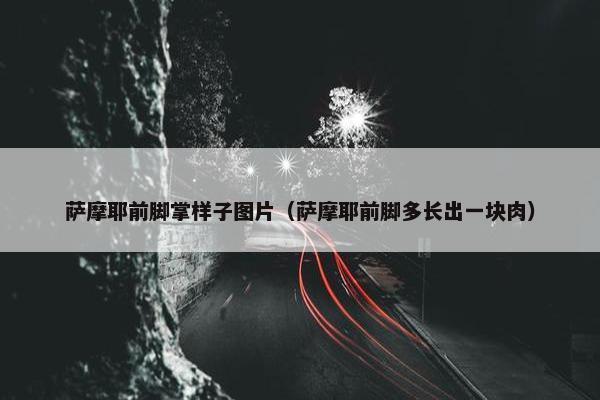 萨摩耶前脚掌样子图片（萨摩耶前脚多长出一块肉）