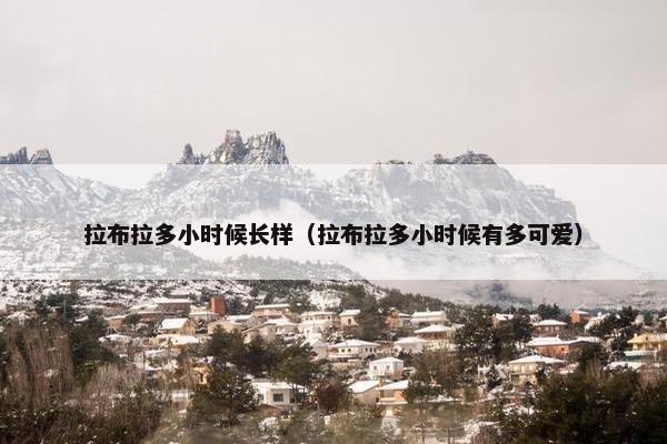 拉布拉多小时候长样（拉布拉多小时候有多可爱）