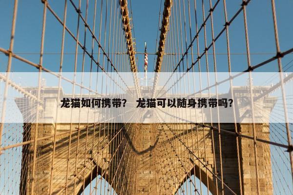 龙猫如何携带？ 龙猫可以随身携带吗？