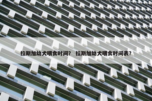 拉斯加幼犬喂食时间？ 拉斯加幼犬喂食时间表？
