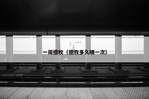 一周德牧（德牧多久喂一次）