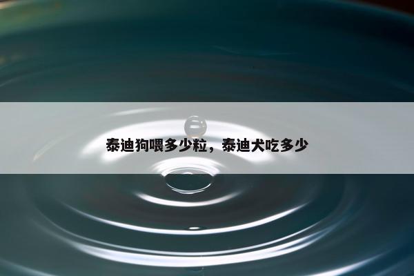 泰迪狗喂多少粒，泰迪犬吃多少