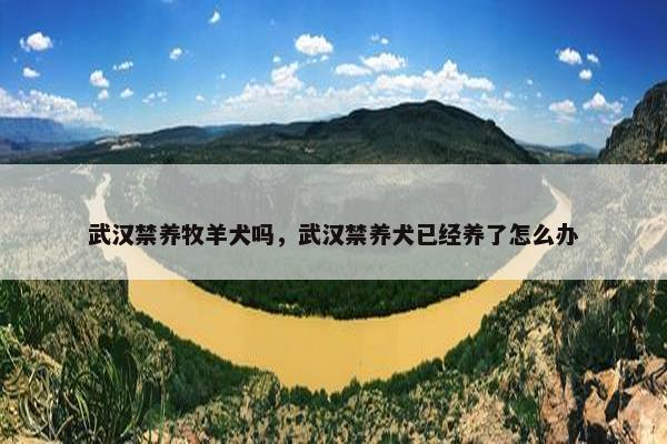 武汉禁养牧羊犬吗，武汉禁养犬已经养了怎么办