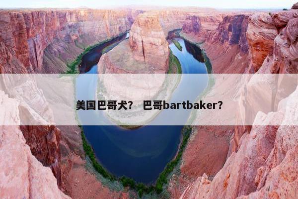 美国巴哥犬？ 巴哥bartbaker？