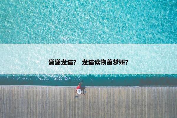 潇潇龙猫？ 龙猫读物萧梦妍？