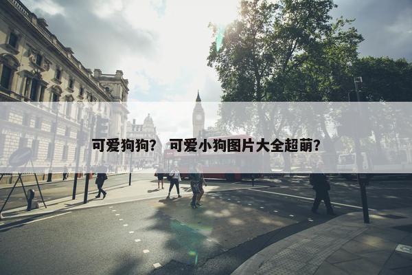 可爱狗狗？ 可爱小狗图片大全超萌？