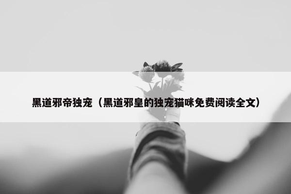 黑道邪帝独宠（黑道邪皇的独宠猫咪免费阅读全文）