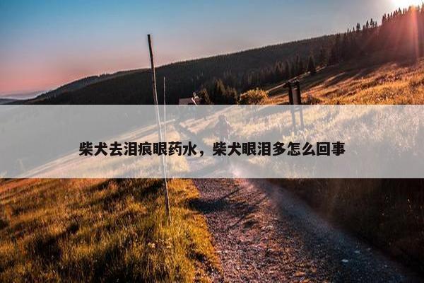 柴犬去泪痕眼药水，柴犬眼泪多怎么回事